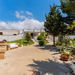 Nyaraló Dei Lidi - Homesalento Com Torre San Giovanni Ugento