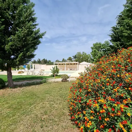 Dei Lidi - Homesalento Com *